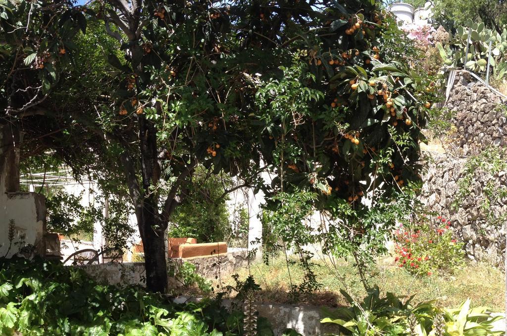 Pensjonat Casa Del Caminero En Tejeda Zewnętrze zdjęcie